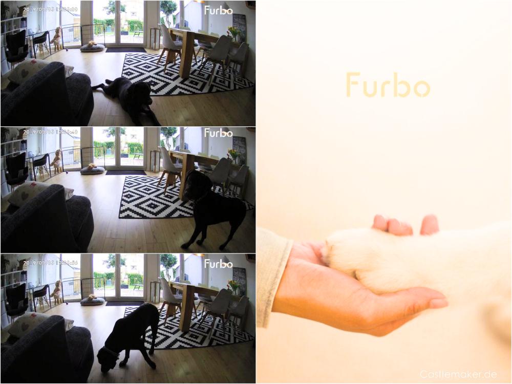 furbo hundekamera test hund alleine lassen Castlemaker Lifestyle-Blog