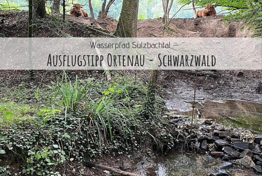 wasserpfad sulzbachtal ausflugstipp ortenau schwarzwald mit kindern Castlemaker Lifestyle-Blog