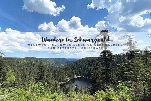 wandern im schwarzwald bad peterstal griesbach westweg seeblick glaswaldsee mit hund castlemaker