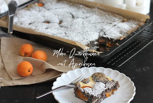 mohn-quarkkuchen mit aprikosen aprikosen-mohnkuchen rezept blechkuchen castlemaker foodblog aus baden