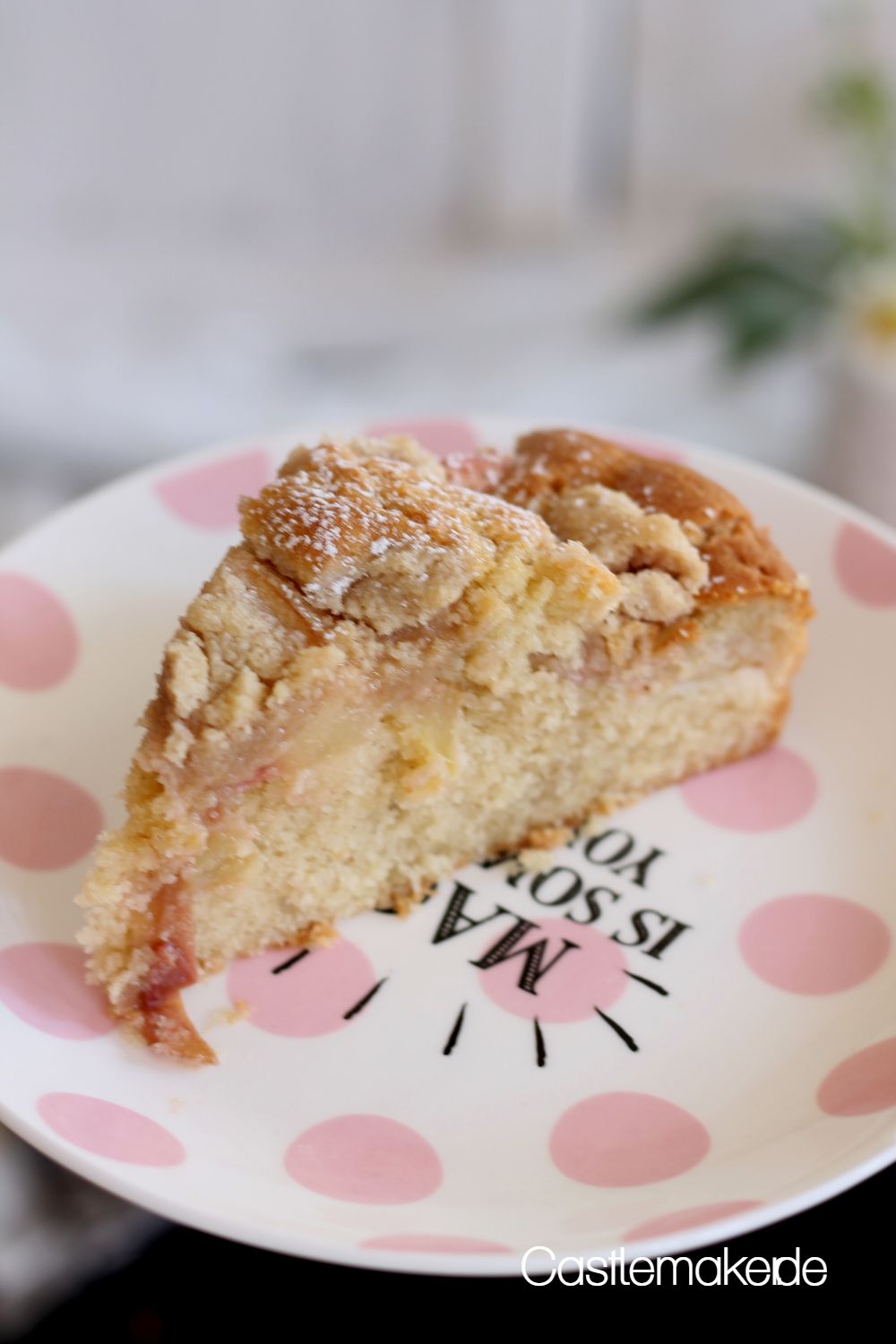 aprikosen-streuselkuchen mit joghurt castlemaker foodblog schwarzwald